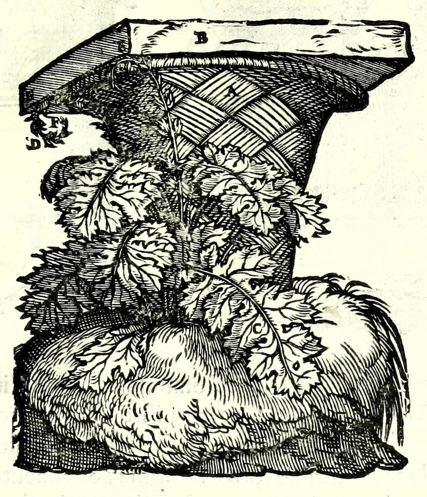 An illustration from I dieci libri d'architettvra, 1660, leaf 89