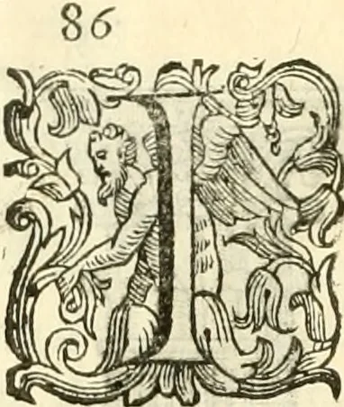 An illustration from I dieci libri d'architettvra, 1660, leaf 101