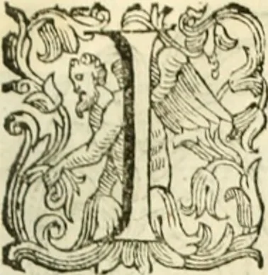 An illustration from I dieci libri d'architettvra, 1660, leaf 116