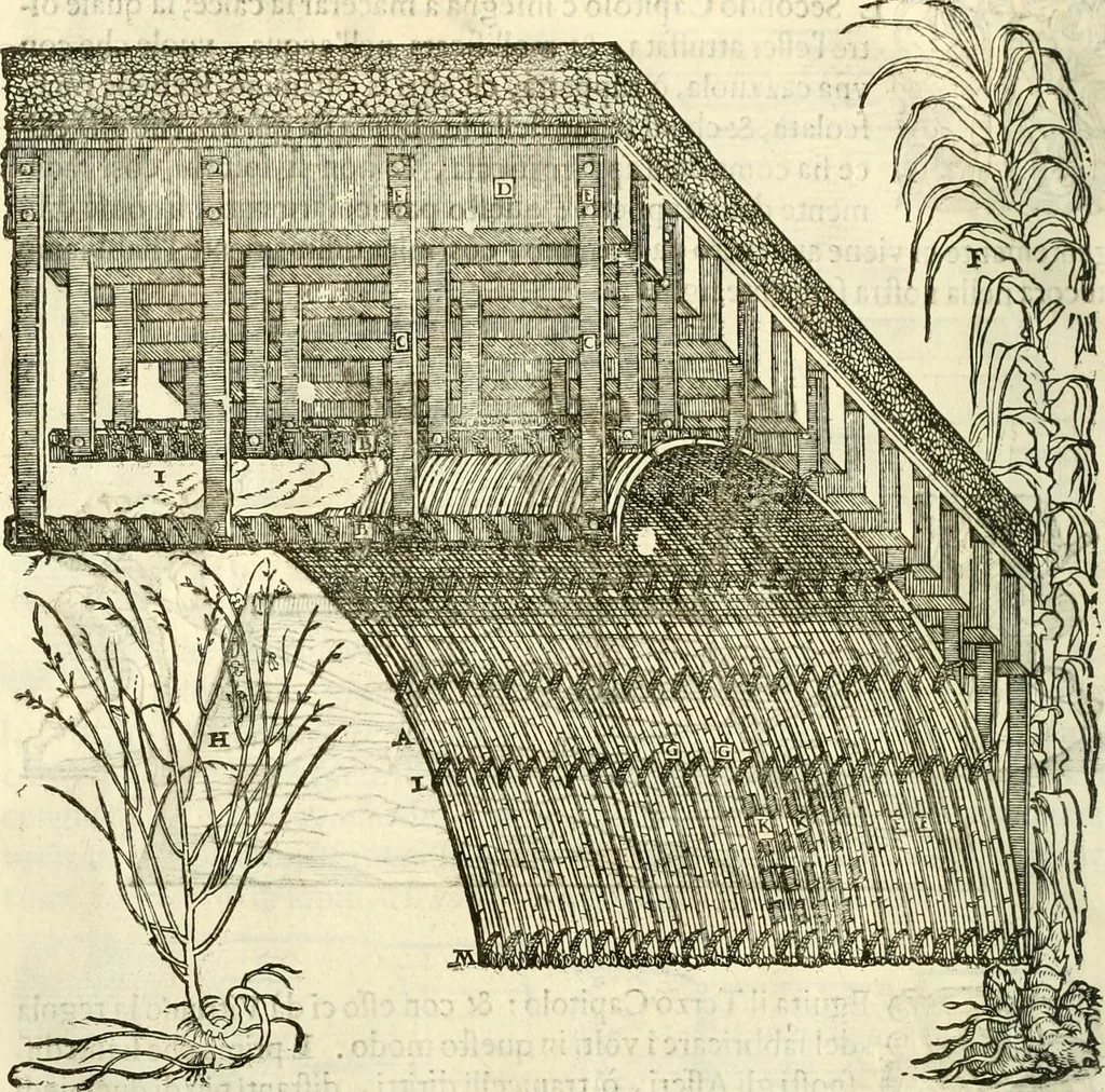 An illustration from I dieci libri d'architettvra, 1660, leaf 117