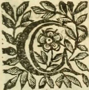 An illustration from I dieci libri d'architettvra, 1660, leaf 126