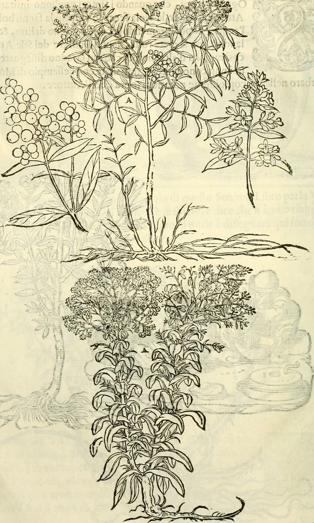 An illustration from I dieci libri d'architettvra, 1660, leaf 131