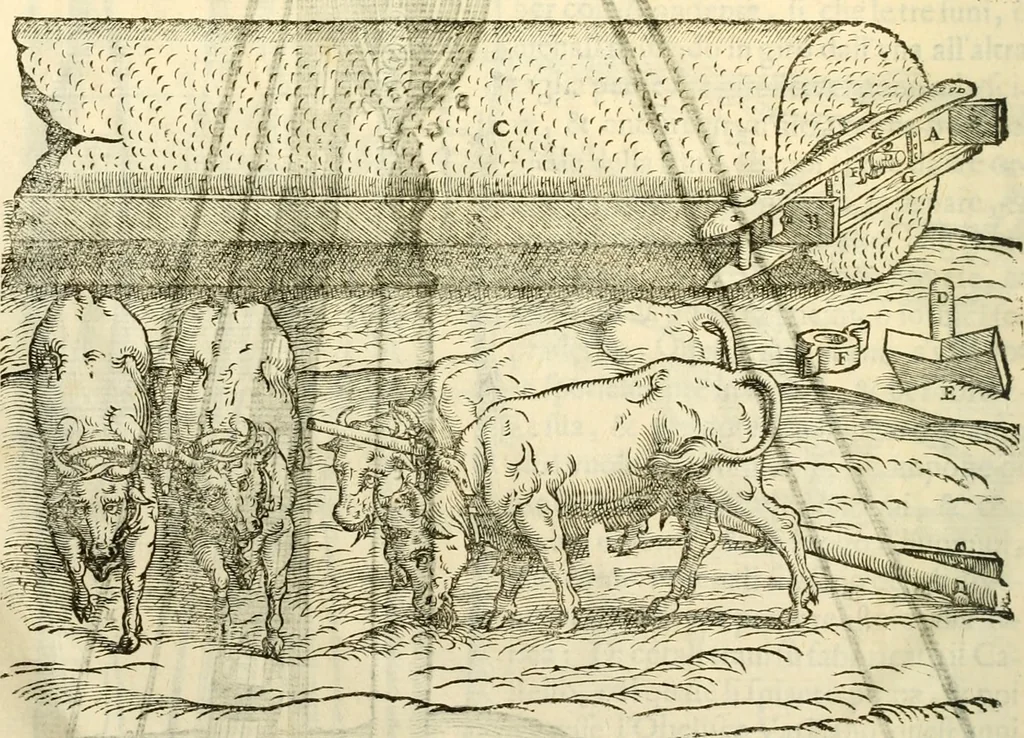 An illustration from I dieci libri d'architettvra, 1660, leaf 151