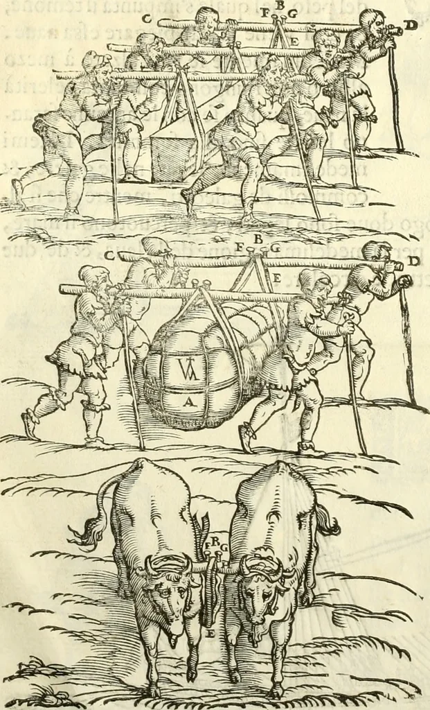 An illustration from I dieci libri d'architettvra, 1660, leaf 155