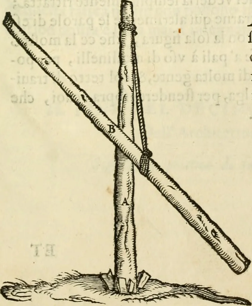 An illustration from I dieci libri d'architettvra, 1660, leaf 156