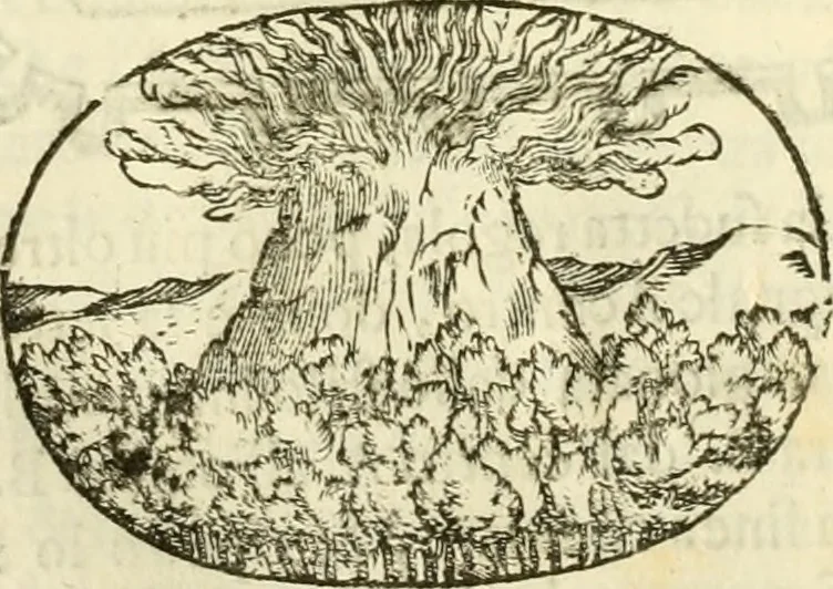 An illustration from I dieci libri d'architettvra, 1660, leaf 37