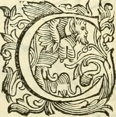 An illustration from I dieci libri d'architettvra, 1660, leaf 39