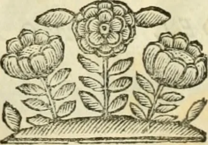 An illustration from I dieci libri d'architettvra, 1660, leaf 39