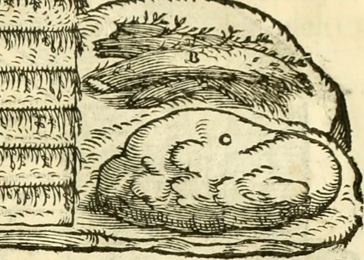 An illustration from I dieci libri d'architettvra, 1660, leaf 40