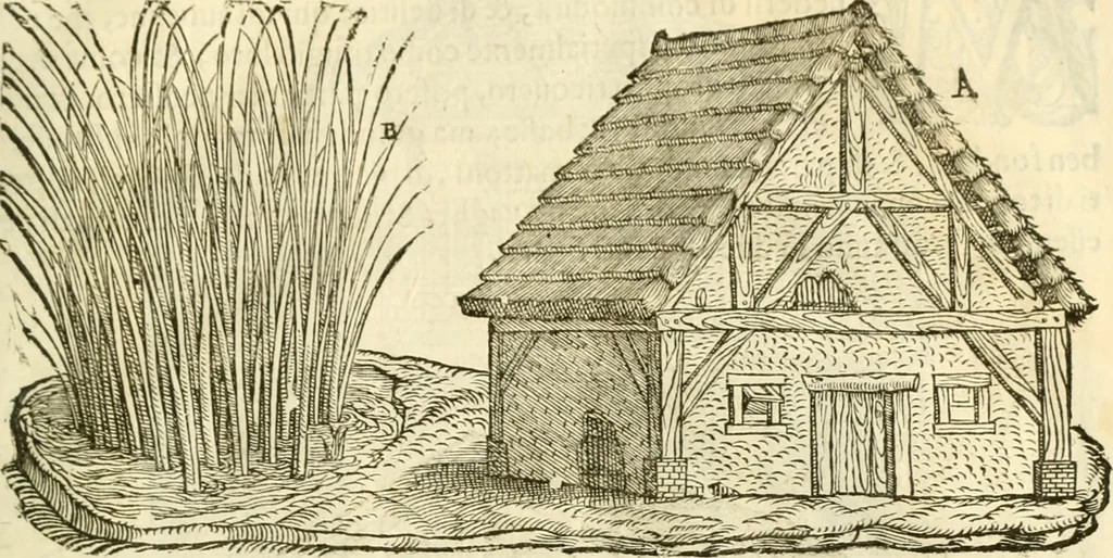An illustration from I dieci libri d'architettvra, 1660, leaf 44