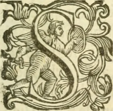 An illustration from I dieci libri d'architettvra, 1660, leaf 46