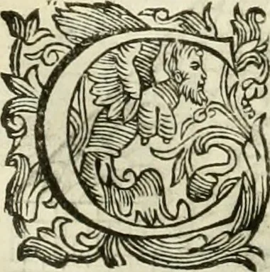 An illustration from I dieci libri d'architettvra, 1660, leaf 53