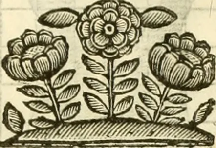 An illustration from I dieci libri d'architettvra, 1660, leaf 60