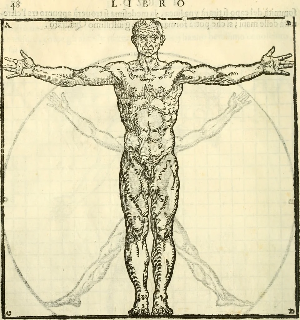 An illustration from I dieci libri d'architettvra, 1660, leaf 63