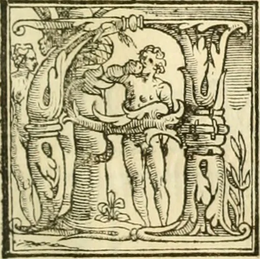 An illustration from I dieci libri d'architettvra, 1660, leaf 68