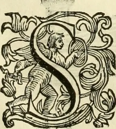 An illustration from I dieci libri d'architettvra, 1660, leaf 71