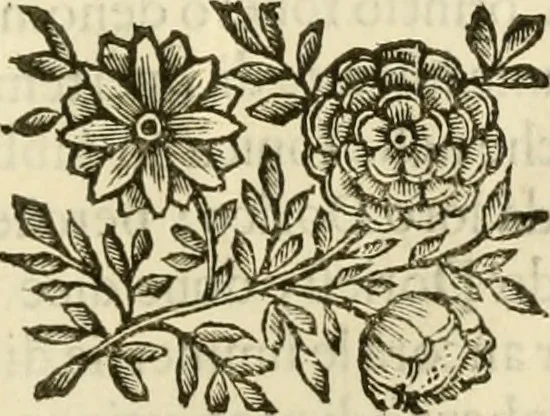 An illustration from I dieci libri d'architettvra, 1660, leaf 82