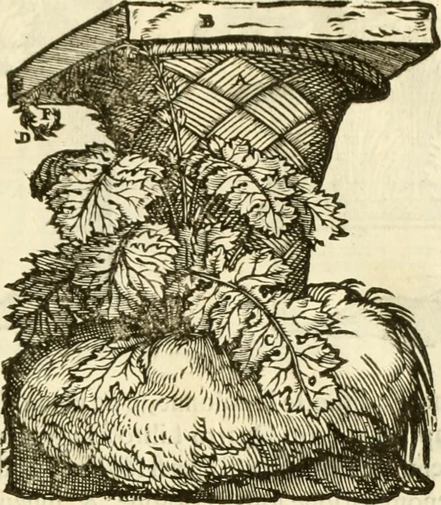 An illustration from I dieci libri d'architettvra, 1660, leaf 86