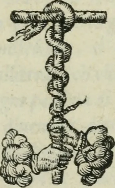 An illustration from I dieci libri de l'architettura di Leon Battista de gli Alberti Fiorentino ..., 1546, leaf 4