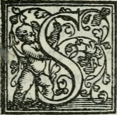 An illustration from I dieci libri de l'architettura di Leon Battista de gli Alberti Fiorentino ..., 1546, leaf 458