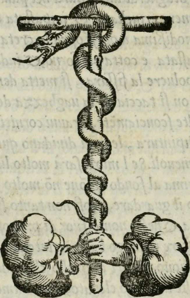 An illustration from I dieci libri de l'architettura di Leon Battista de gli Alberti Fiorentino ..., 1546, leaf 523