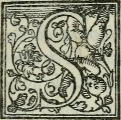 An illustration from I dieci libri de l'architettura di Leon Battista de gli Alberti Fiorentino ..., 1546, leaf 6