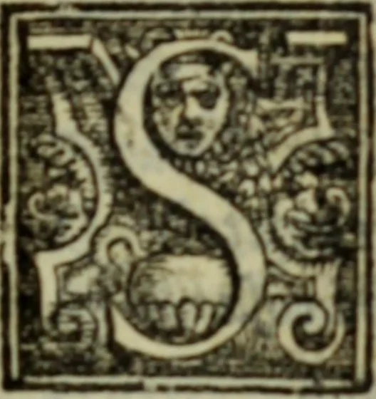An illustration from I dilettevoli : sermoni, altrimenti satire, e le morali epistole di Horatio, illustre poeta lirico, insieme con la poetica, 1559, leaf 104
