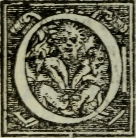 An illustration from I dilettevoli : sermoni, altrimenti satire, e le morali epistole di Horatio, illustre poeta lirico, insieme con la poetica, 1559, leaf 133