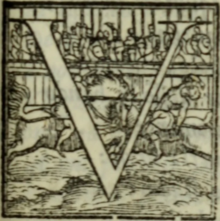 An illustration from I dilettevoli : sermoni, altrimenti satire, e le morali epistole di Horatio, illustre poeta lirico, insieme con la poetica, 1559, leaf 164