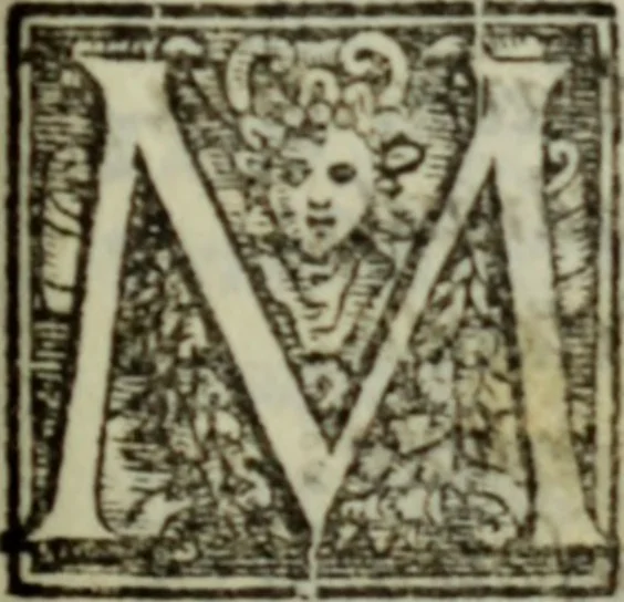 An illustration from I dilettevoli : sermoni, altrimenti satire, e le morali epistole di Horatio, illustre poeta lirico, insieme con la poetica, 1559, leaf 174