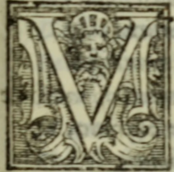 An illustration from I dilettevoli : sermoni, altrimenti satire, e le morali epistole di Horatio, illustre poeta lirico, insieme con la poetica, 1559, leaf 202