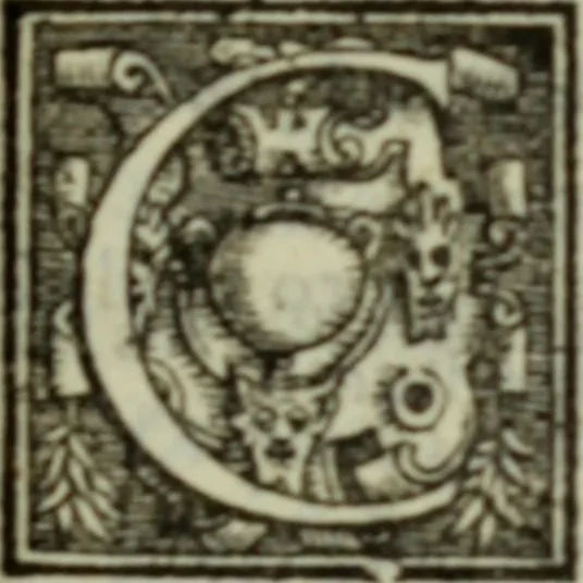 An illustration from I dilettevoli : sermoni, altrimenti satire, e le morali epistole di Horatio, illustre poeta lirico, insieme con la poetica, 1559, leaf 204