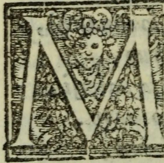 An illustration from I dilettevoli : sermoni, altrimenti satire, e le morali epistole di Horatio, illustre poeta lirico, insieme con la poetica, 1559, leaf 209