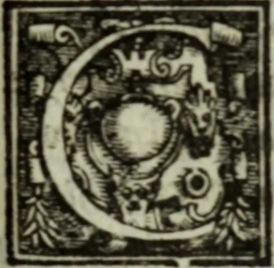 An illustration from I dilettevoli : sermoni, altrimenti satire, e le morali epistole di Horatio, illustre poeta lirico, insieme con la poetica, 1559, leaf 214