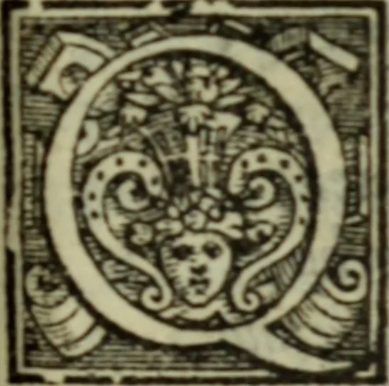 An illustration from I dilettevoli : sermoni, altrimenti satire, e le morali epistole di Horatio, illustre poeta lirico, insieme con la poetica, 1559, leaf 228