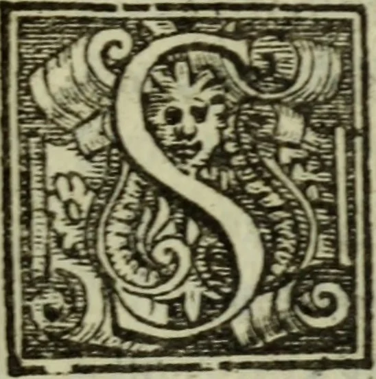 An illustration from I dilettevoli : sermoni, altrimenti satire, e le morali epistole di Horatio, illustre poeta lirico, insieme con la poetica, 1559, leaf 242