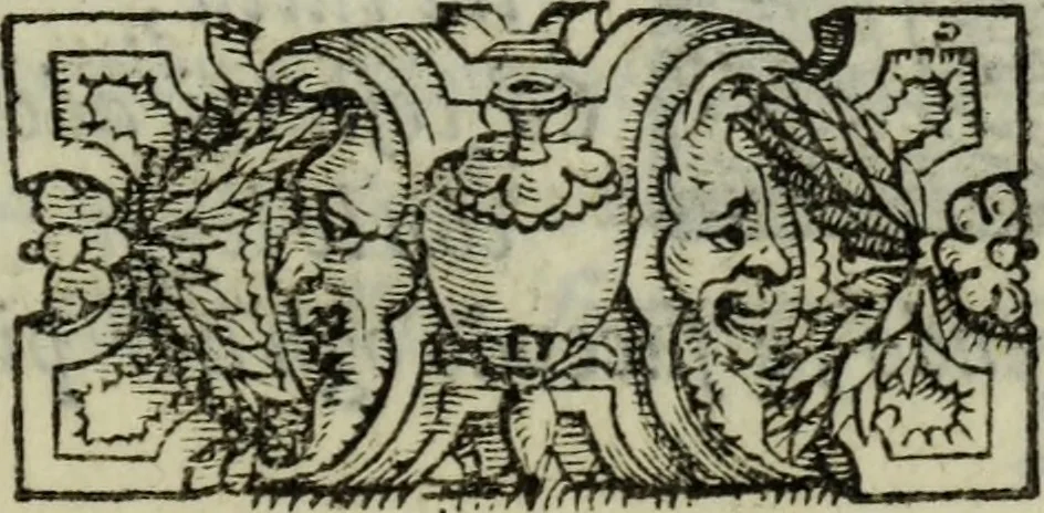 An illustration from I dilettevoli : sermoni, altrimenti satire, e le morali epistole di Horatio, illustre poeta lirico, insieme con la poetica, 1559, leaf 248