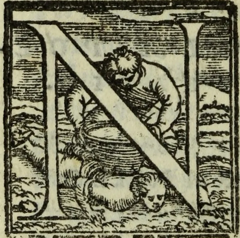 An illustration from I dilettevoli : sermoni, altrimenti satire, e le morali epistole di Horatio, illustre poeta lirico, insieme con la poetica, 1559, leaf 315