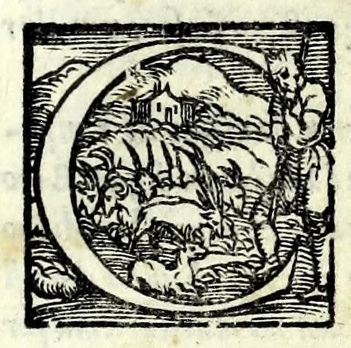 An illustration from I dissimili : comedia, 1550, leaf 11