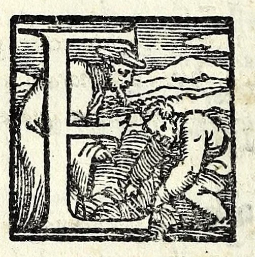 An illustration from I dissimili : comedia, 1550, leaf 22