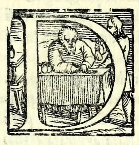 An illustration from I dissimili : comedia, 1550, leaf 41