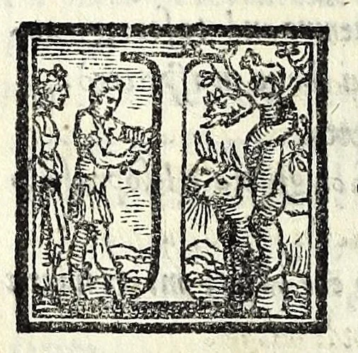 An illustration from I dissimili : comedia, 1550, leaf 54