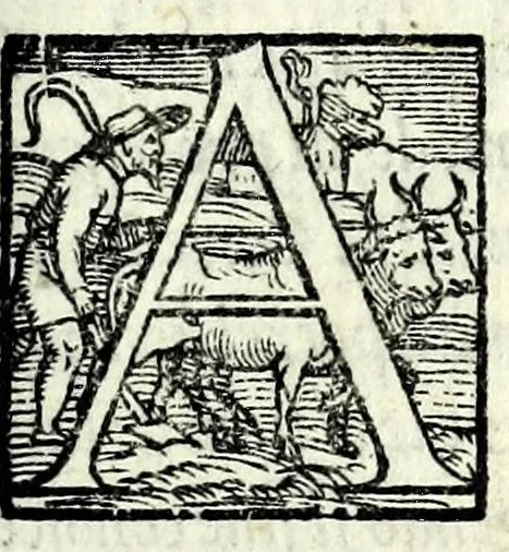An illustration from I dissimili : comedia, 1550, leaf 7