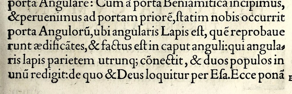An illustration from Ierusalem, vetustissima illa et celeberrima totius mundi ciuitas : ex sacris literis et approbatis historicis ad unguem descripta : una cum orthodoxis figurae ac ueritatis explicationibus, iuxta scripturarum Veteris ac Noui Testamenti accuratam collationem : ac quaenam huius urbis, templique & omnium aliorum, tam intra quàm extra moenia locorum atque gestorum mystica sit repraesentatio : quid etiam peregrina propria nomina in tota passim histoira commemorata, signifcent at[que] denotent, 1563, leaf 513