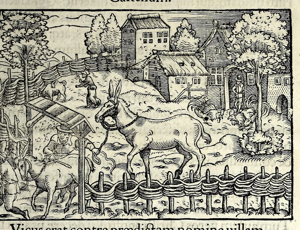 An illustration from Ierusalem, vetustissima illa et celeberrima totius mundi ciuitas : ex sacris literis et approbatis historicis ad unguem descripta : una cum orthodoxis figurae ac ueritatis explicationibus, iuxta scripturarum Veteris ac Noui Testamenti accuratam collationem : ac quaenam huius urbis, templique & omnium aliorum, tam intra quàm extra moenia locorum atque gestorum mystica sit repraesentatio : quid etiam peregrina propria nomina in tota passim histoira commemorata, signifcent at[que] denotent, 1563, leaf 633