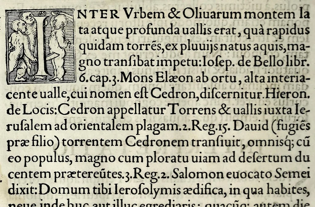 An illustration from Ierusalem, vetustissima illa et celeberrima totius mundi ciuitas : ex sacris literis et approbatis historicis ad unguem descripta : una cum orthodoxis figurae ac ueritatis explicationibus, iuxta scripturarum Veteris ac Noui Testamenti accuratam collationem : ac quaenam huius urbis, templique & omnium aliorum, tam intra quàm extra moenia locorum atque gestorum mystica sit repraesentatio : quid etiam peregrina propria nomina in tota passim histoira commemorata, signifcent at[que] denotent, 1563, leaf 650