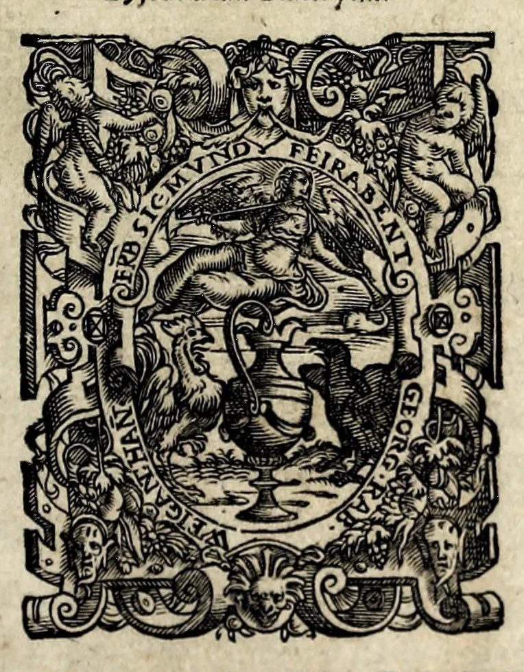 An illustration from Ierusalem, vetustissima illa et celeberrima totius mundi ciuitas : ex sacris literis et approbatis historicis ad unguem descripta : una cum orthodoxis figurae ac ueritatis explicationibus, iuxta scripturarum Veteris ac Noui Testamenti accuratam collationem : ac quaenam huius urbis, templique & omnium aliorum, tam intra quàm extra moenia locorum atque gestorum mystica sit repraesentatio : quid etiam peregrina propria nomina in tota passim histoira commemorata, signifcent at[que] denotent, 1563, leaf 9