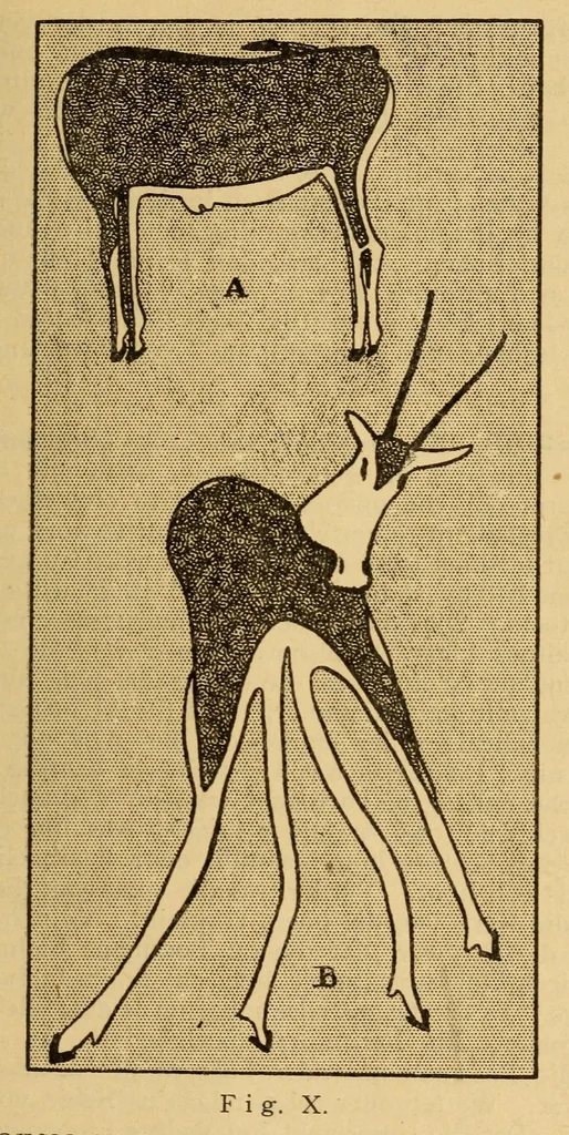 An illustration from Iets oor die Boesmankultuur, 1920, leaf 49