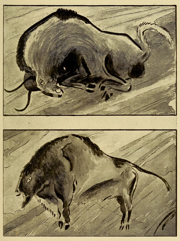 An illustration from Iets oor die Boesmankultuur, 1920, leaf 59