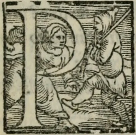 An illustration from I fantasmi : comedia del S. Hercole Bentivoglio, 1547, leaf 158